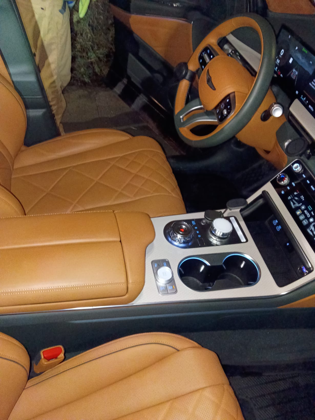 Detailed leather interior